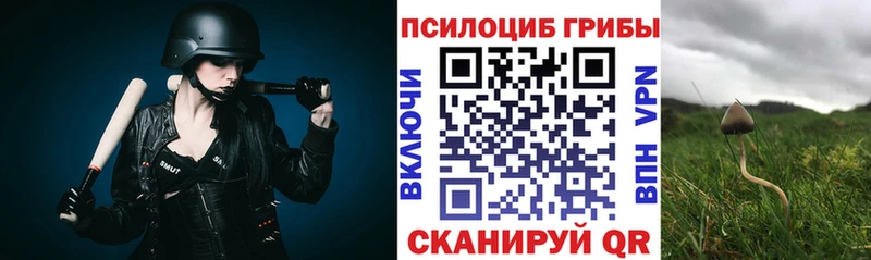 мега ONION Чёрмоз Галлюциногенные грибы ЛСД даркнет сайт